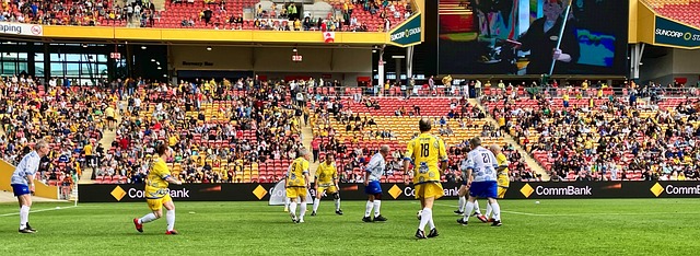 在布斯克茨 在布斯克茨