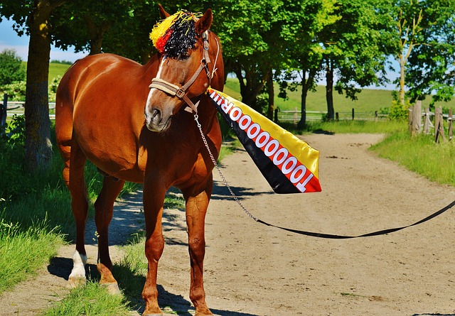 保留了完整 保留了完整