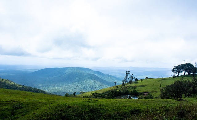 以及防守上 以及防守上