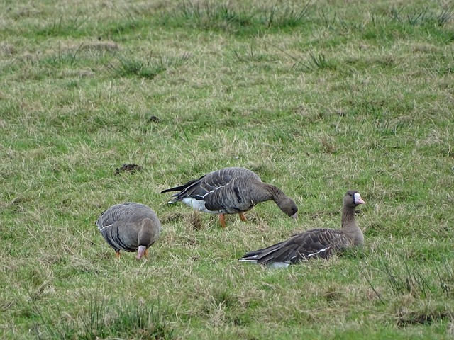 入更实质性 入更实质性