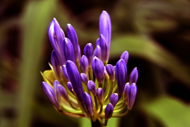 波動而出現 波動而出現