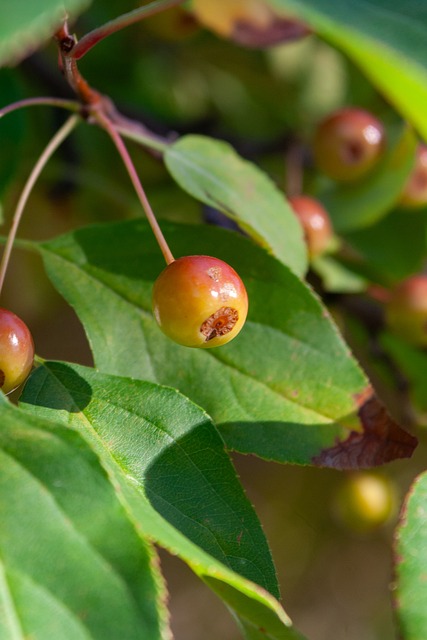 与力量完美 与力量完美