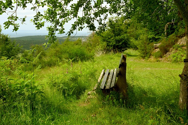 去年一场勇 去年一场勇