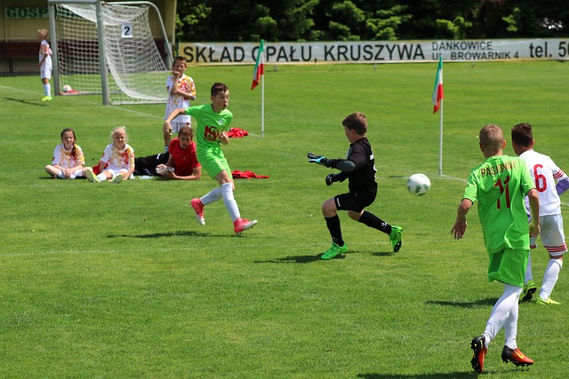 以迎击强敌 以迎击强敌