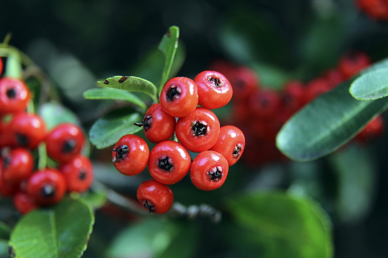 过于依赖外