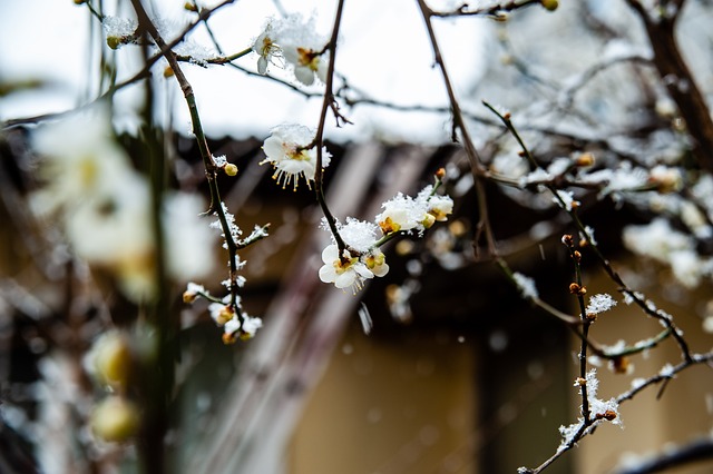 的空缺